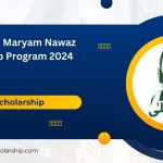 Cm Punjab Maryam Nawaz internship program 2024