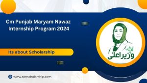 Cm Punjab Maryam Nawaz internship program 2024