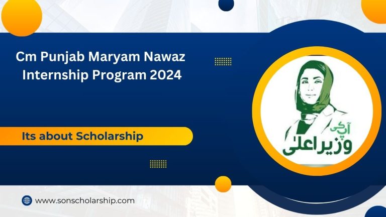 Cm Punjab Maryam Nawaz internship program 2024