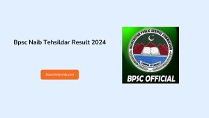 Bpsc Naib Tehsildar Result 2024