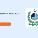 Hec fata Balochistan result 2024