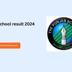 Punjab school result 2024